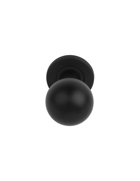 BASICS LB501 NM