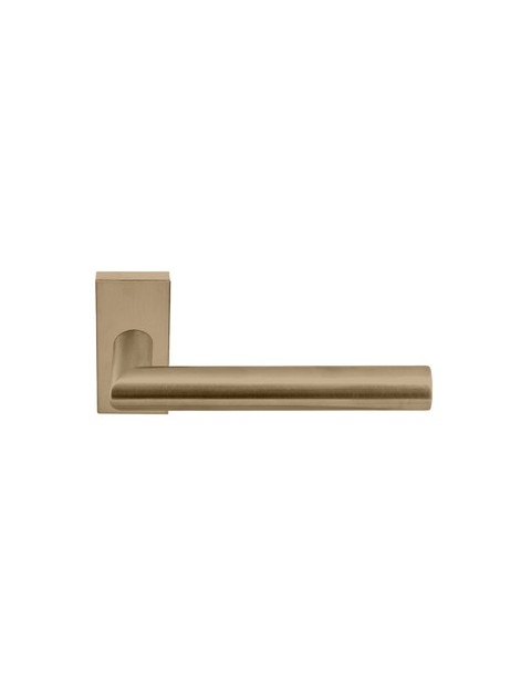 BASICS LBII-19Q32 BL