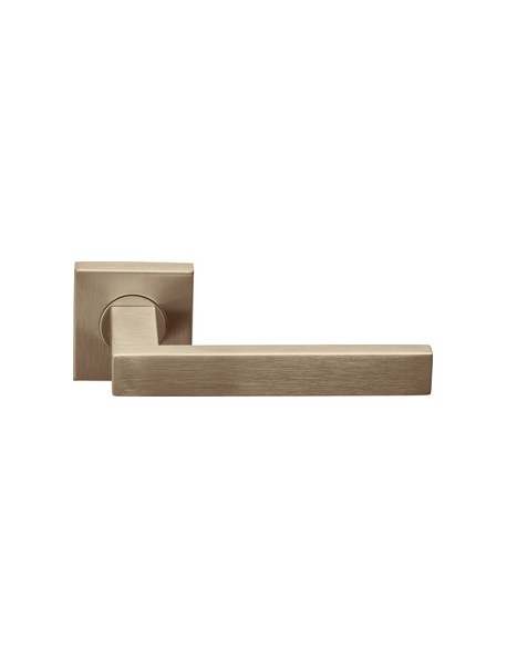 BASICS BSQ2 BL