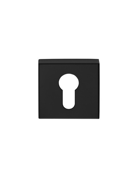 BASICS BSQY53 NM