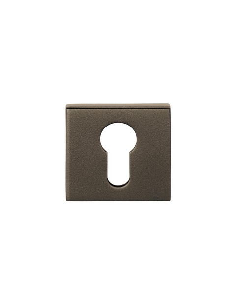 BASICS BSQY53 BR