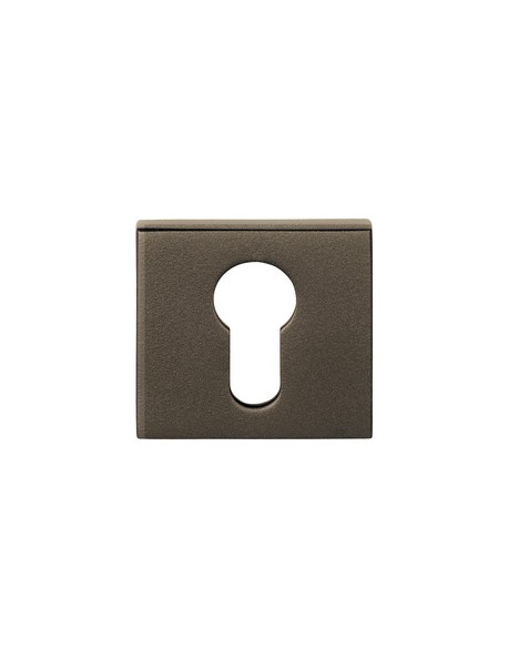 BASICS BSQY53 BR
